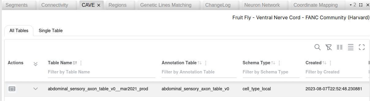 CAVE Table Widget